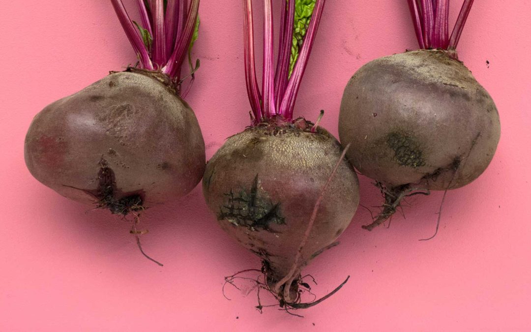 Bitwise: Using Pardot to Find Your ‘Money Beets’